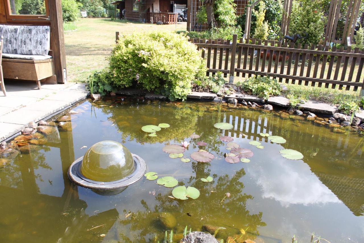 Gepetto Ferienhaus Wissenbach Hademstorf المظهر الخارجي الصورة